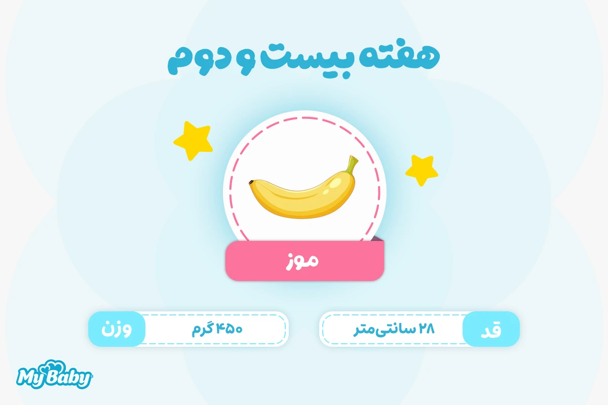 اندازه جنین در هفته بیست و دوم بارداری