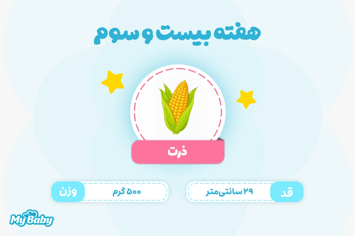 اندازه جنین در هفته بیست و سوم بارداری
