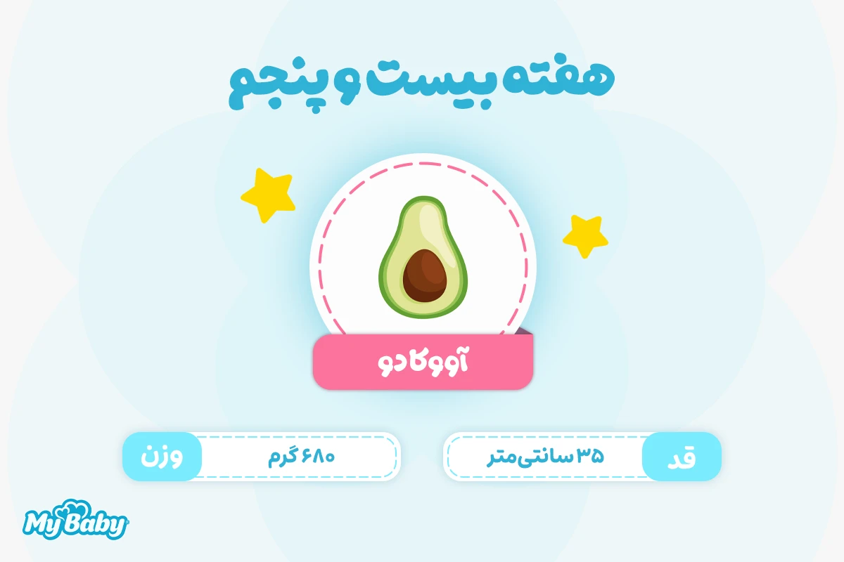 اندازه جنین در هفته بیست و پنجم بارداری