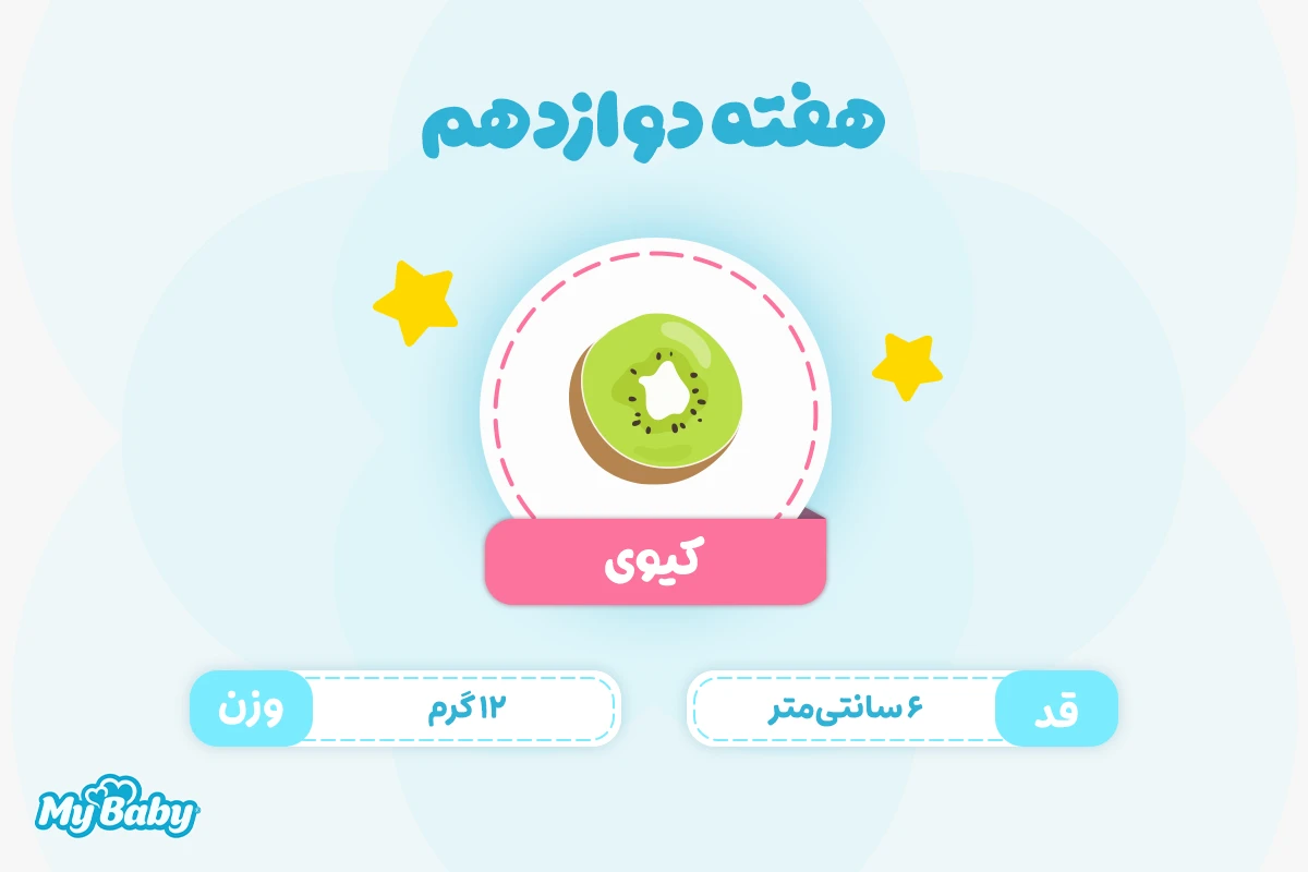 اندازه جنین در هفته دوازدهم بارداری