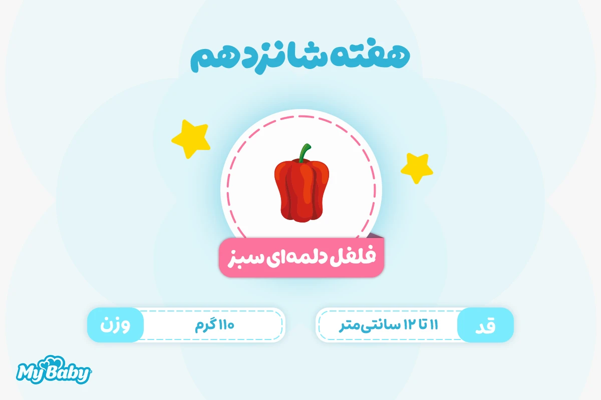 اندازه جنین در هفته شانزدهم بارداری