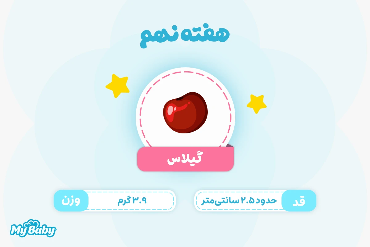 اندازه جنین در هفته نهم بارداری