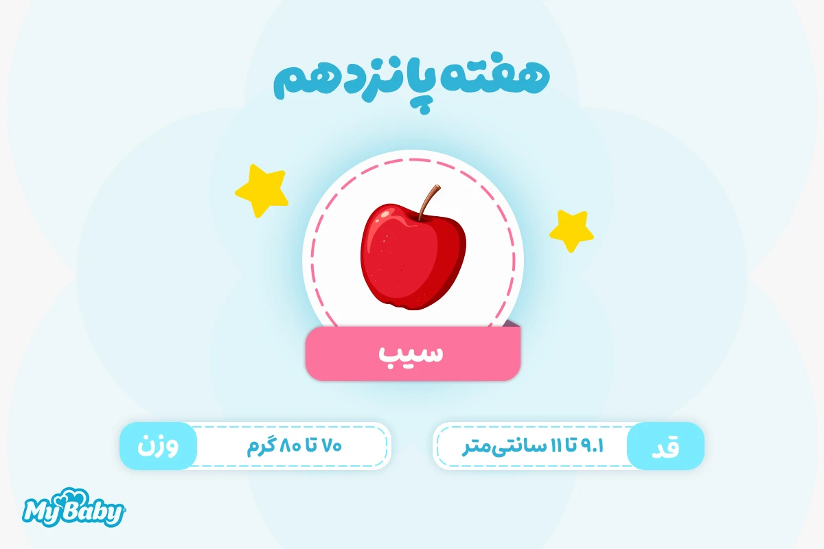 اندازه جنین در هفته پانزدهم بارداری