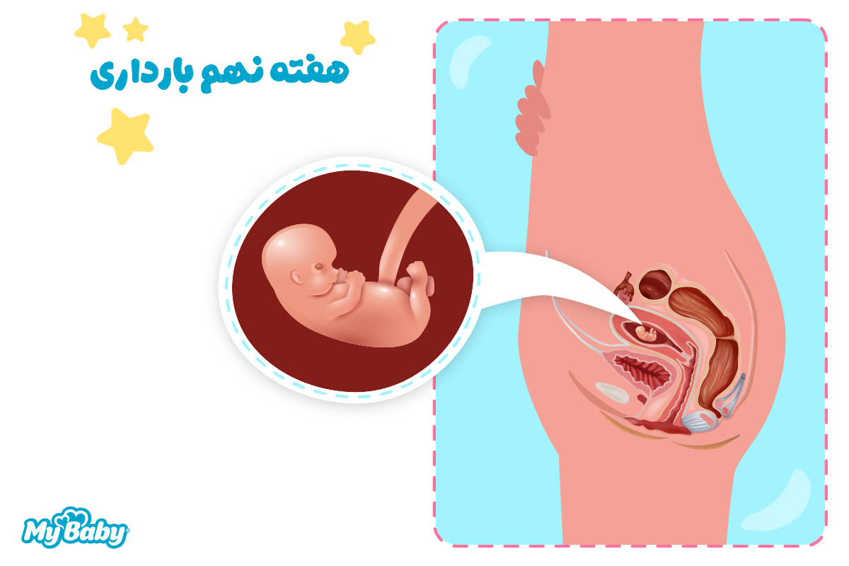هفته نهم بارداری
